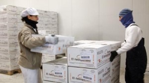 Preparación de pedidos en camara de mantenimiento de frio BAJA