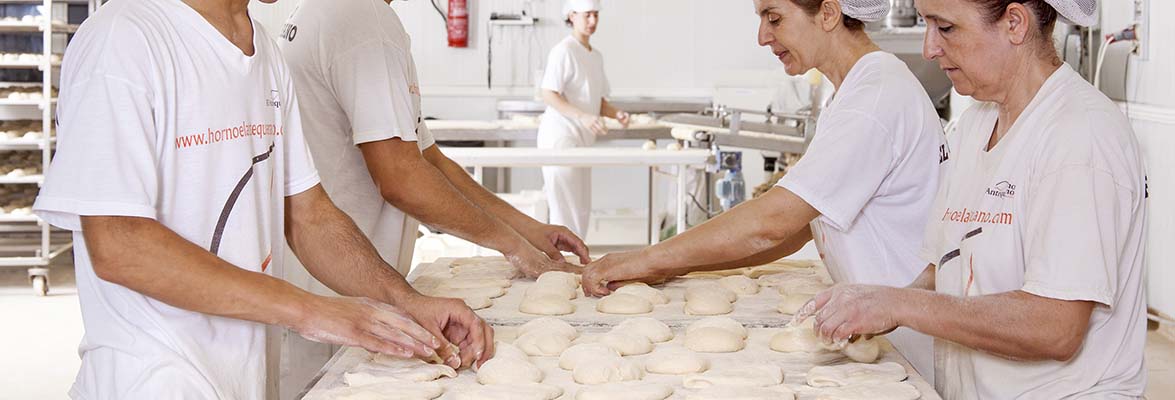 Distribuya nuestros molletes